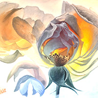 “Feuerblume”, 2021, Acryl auf Leinwand, 100x100cm